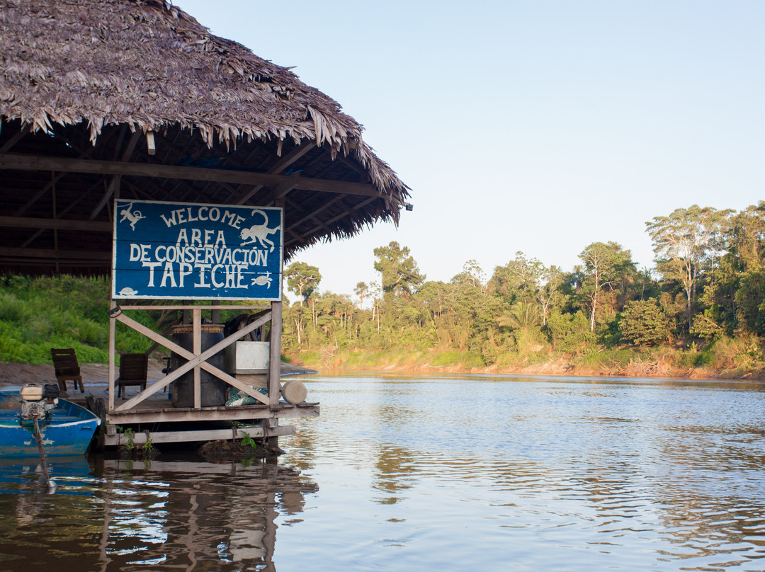 Tapiche Jungle Reserve-伊基托斯必去景点
