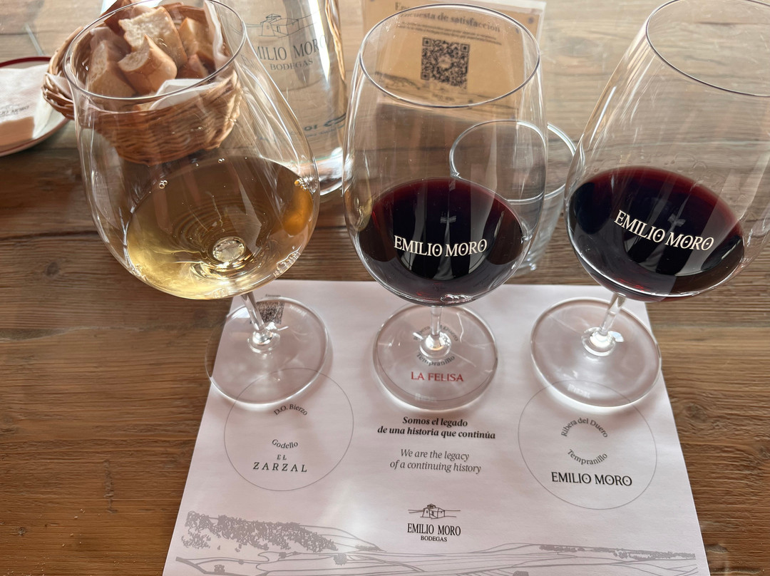 Emilio Moro Bodegas-Pesquera de Duero必去景点