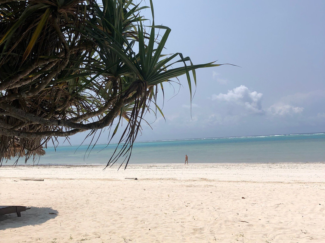 Dongwe Beach-多恩维必去景点