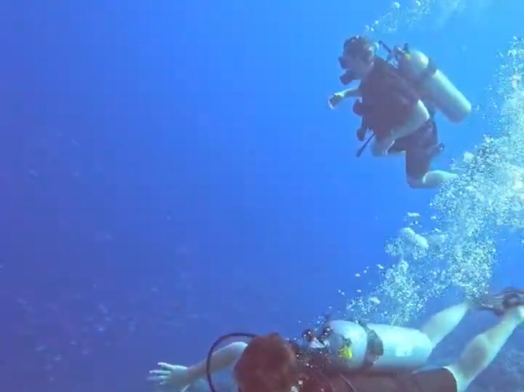 ORCA Dive Club Soma Bay-索马湾必去景点