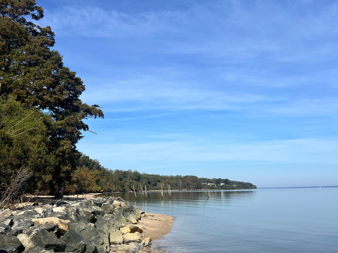 Chippokes State Park-Surry必去景点
