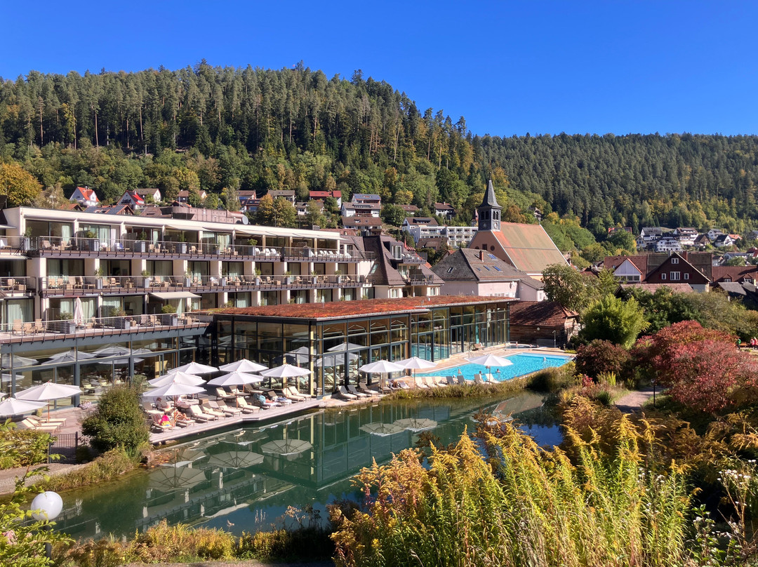 Calw酒店住宿-Hotel Therme Bad Teinach