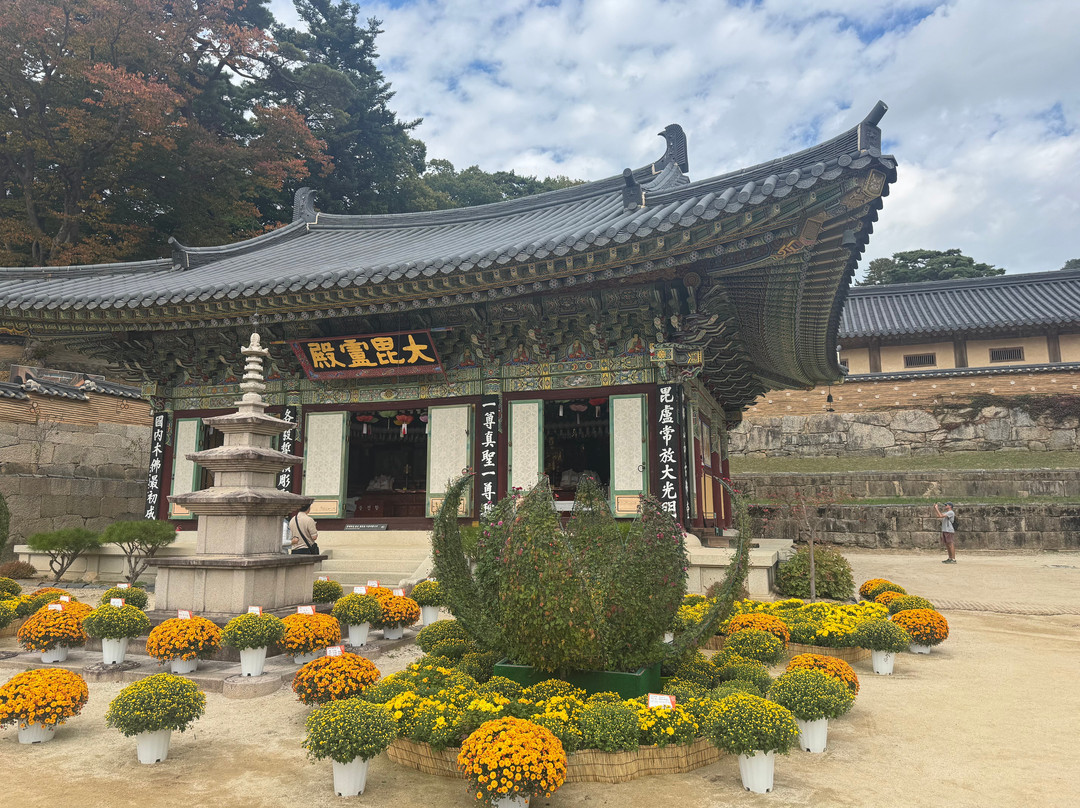 海印寺-陕州郡必去景点