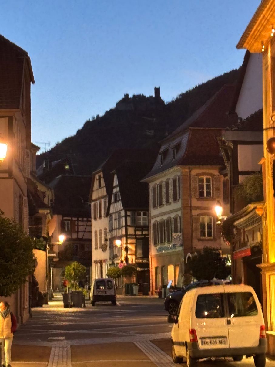 Ribeauvillé的L'酒店和Spa-旅行者
