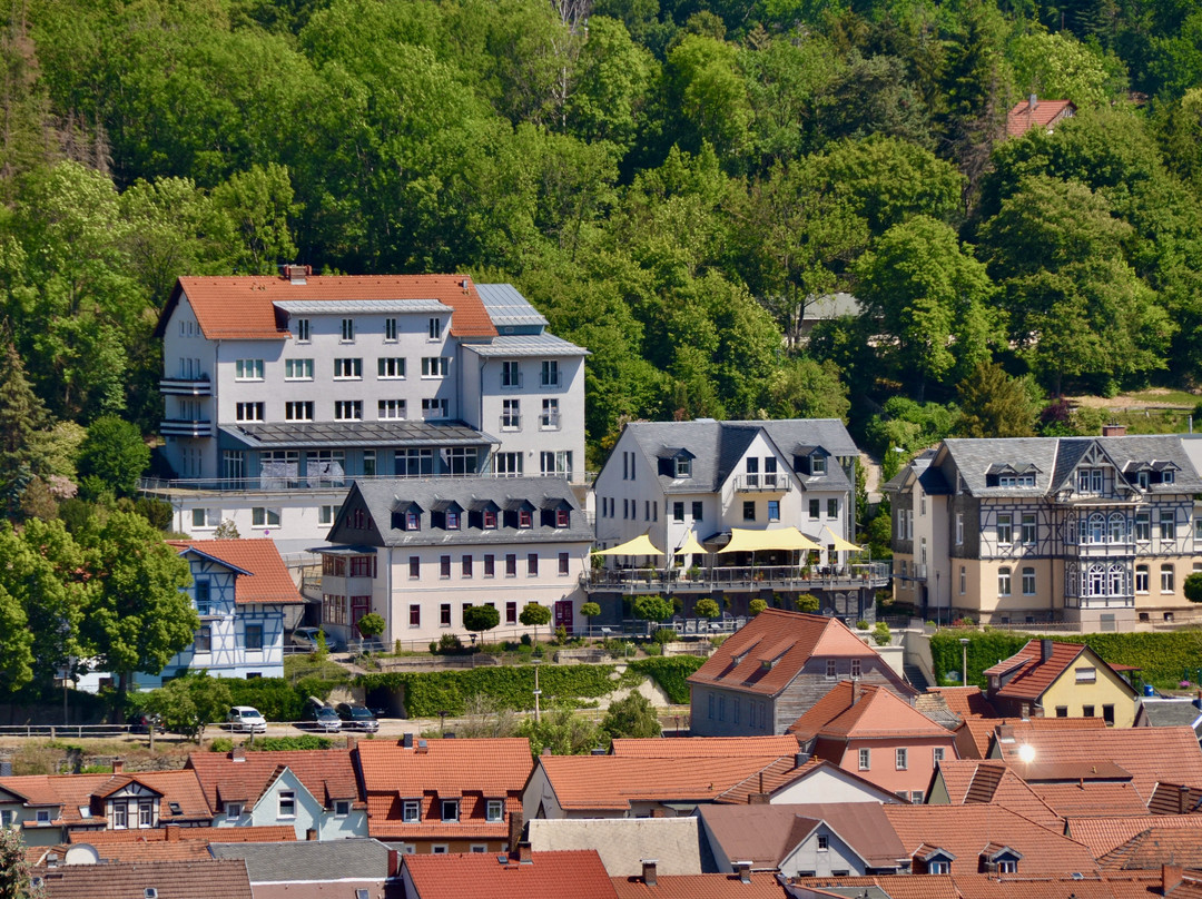 Rudolstadt旅游攻略图片