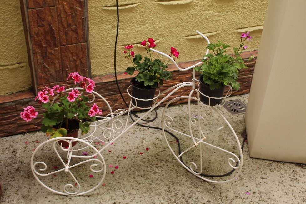 Hotel Restaurant Claudiu-官方