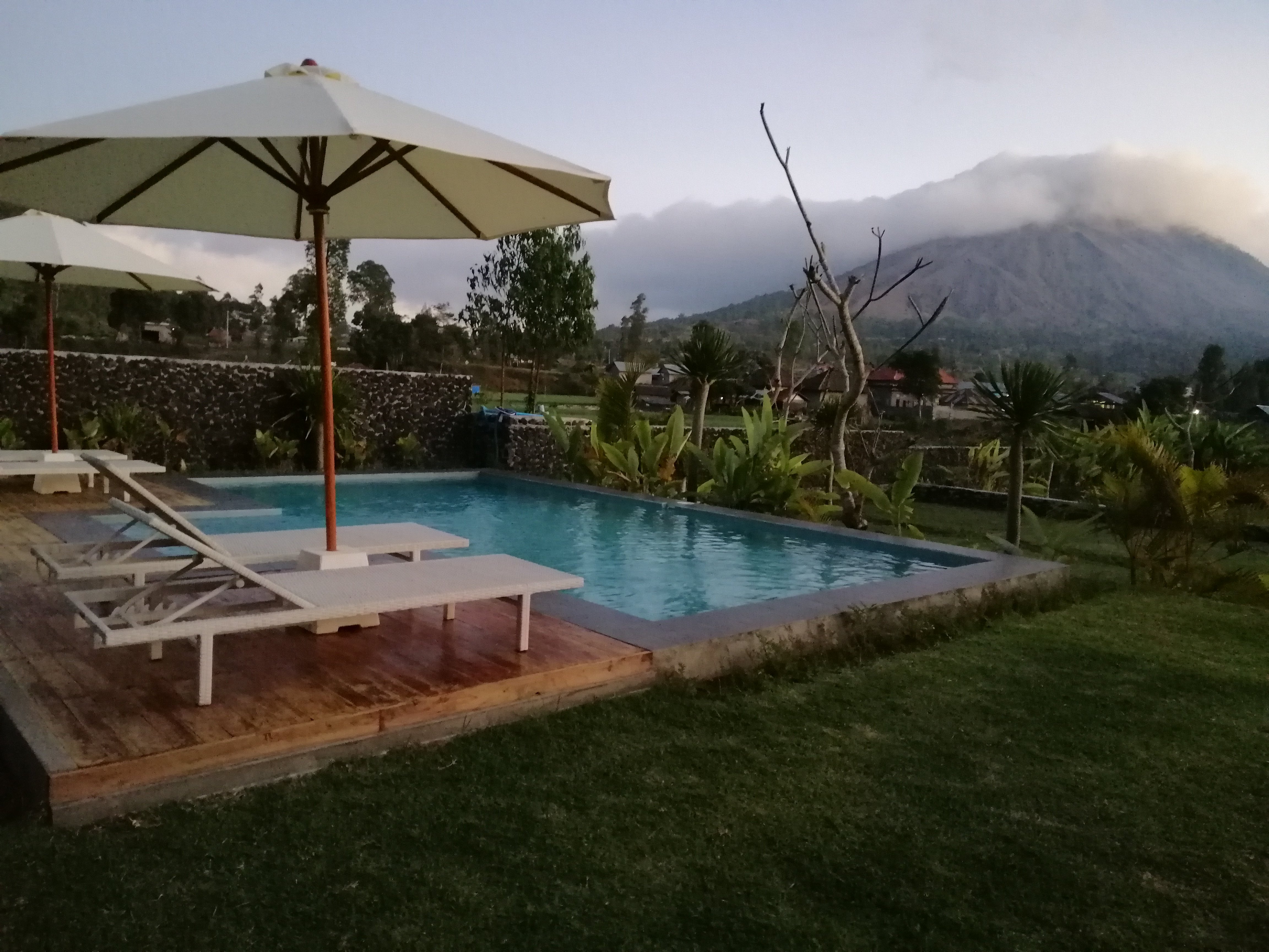 Host @ Volcano-官方