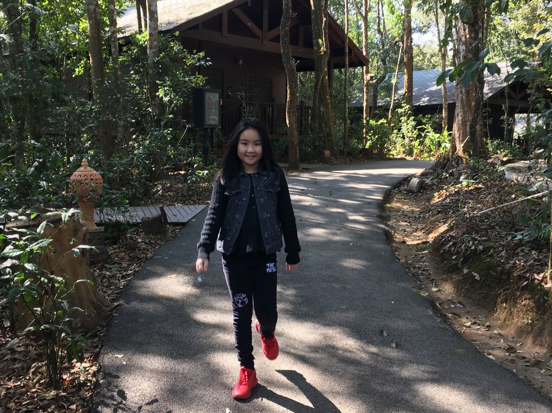 莱阳河国家森林公园-普洱市必去景点