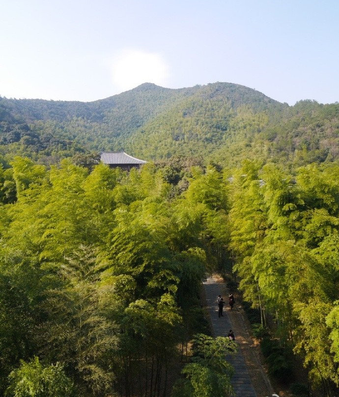 贡茶院-长兴必去景点