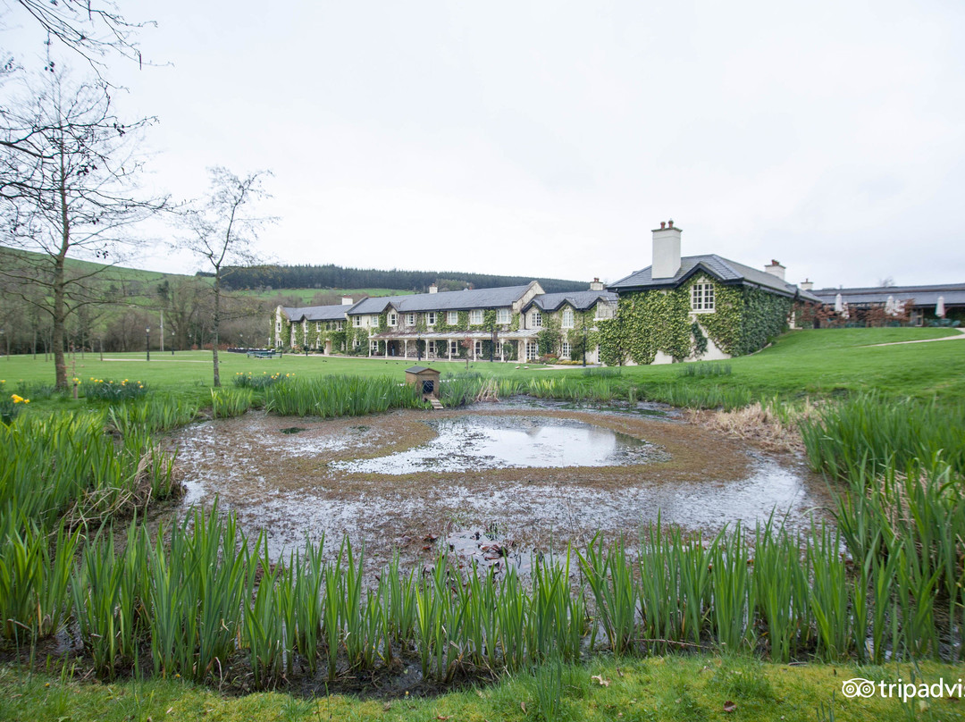 County Wicklow酒店住宿-BrookLodge & Macreddin Village