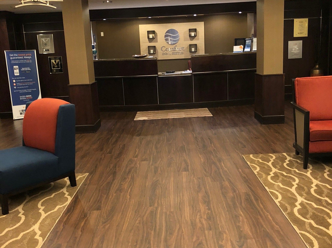 Russellville酒店住宿-Comfort Inn & Suites Russellville I-40