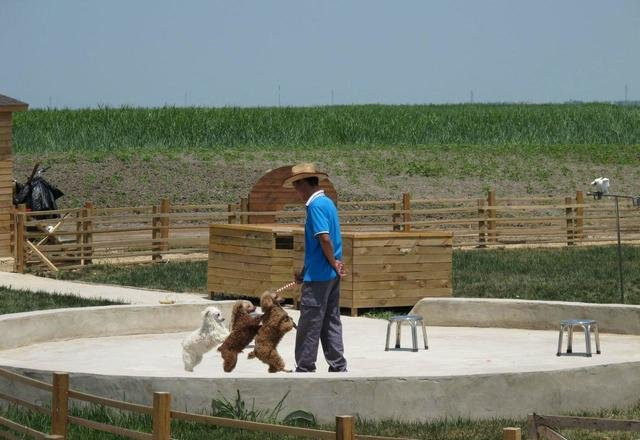 宁河县旅游攻略图片