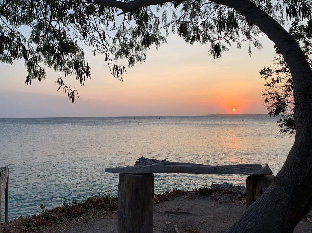 Isla Grande酒店住宿-El Hamaquero Hostal EcoNativo