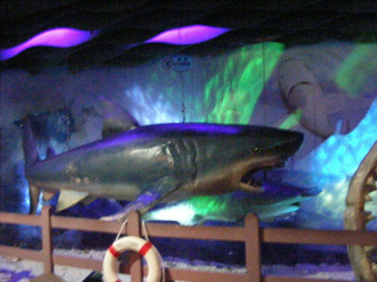 广州海洋馆-广州市必去景点