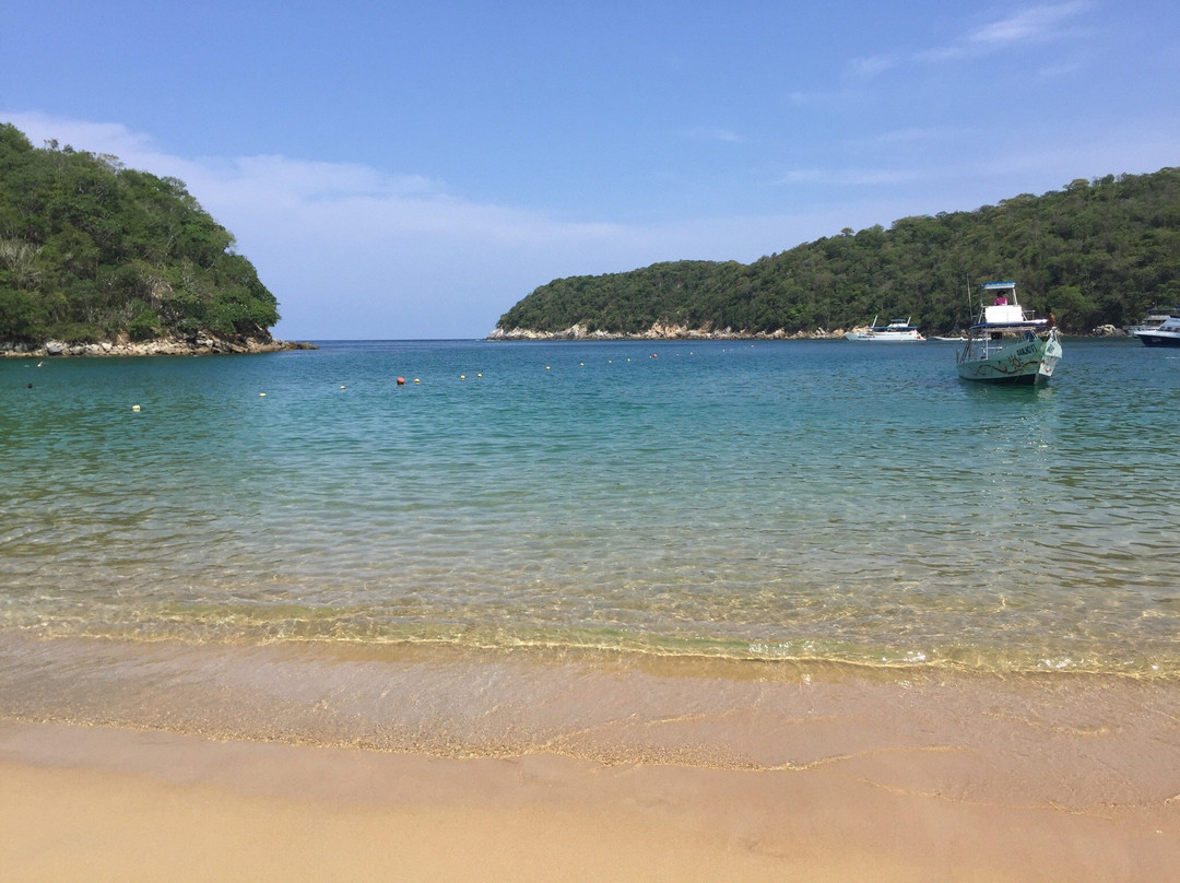 Bahía Maguey y el Órgano景点图片