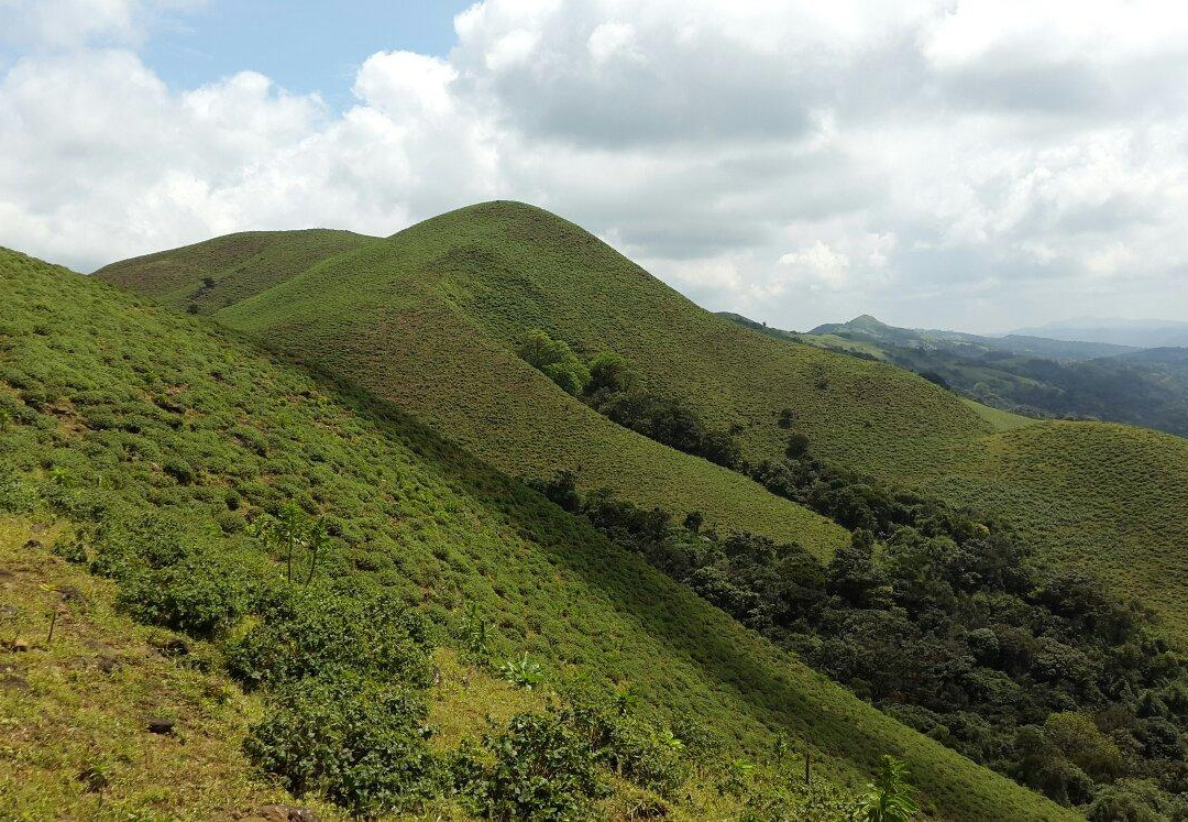 Madikeri Taluk旅游攻略图片