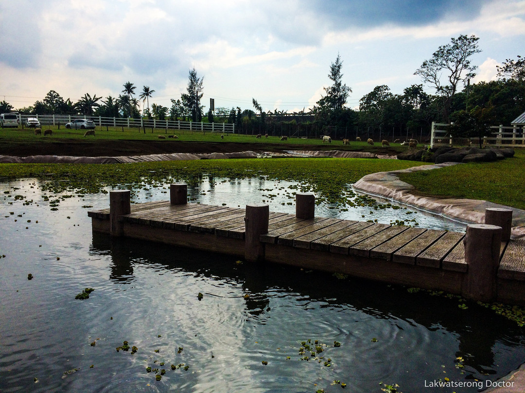 The Old Grove Farmstead景点图片