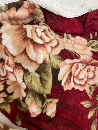 Nevskiye Zvezdy主图