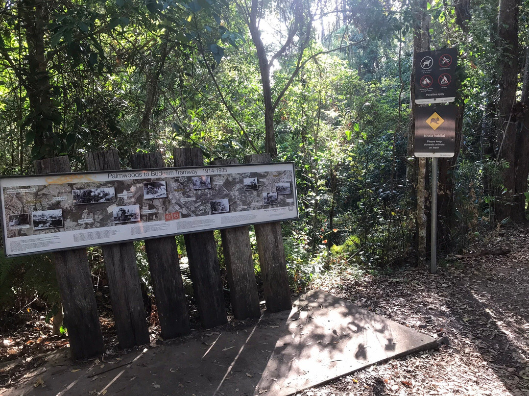 Buderim - Palmwoods Heritage Tramway景点图片