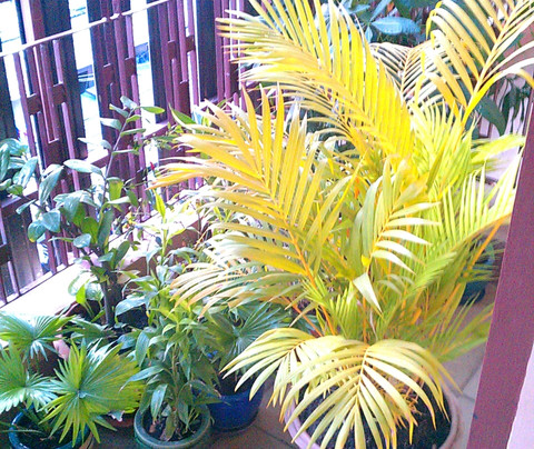 Nice Guest House主图