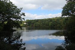 Ramapo Mountain State Forest景点图片