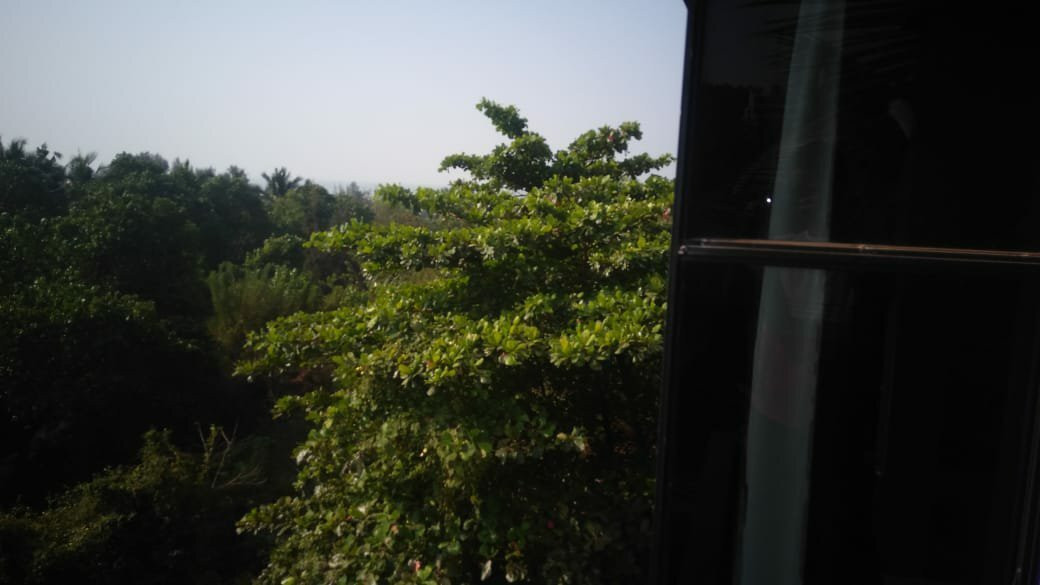 The White feather Hotel主图