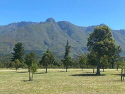 Swellendam Golf Course-斯韦伦丹必去景点