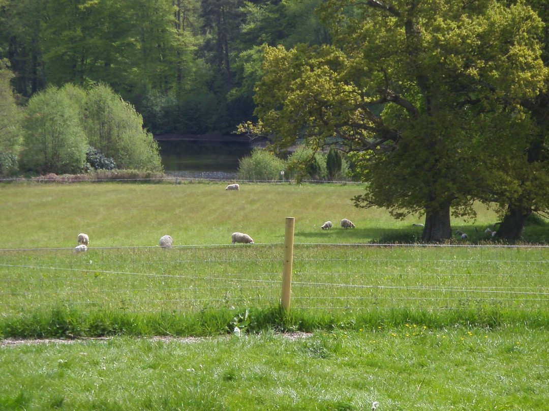 Minstead Manor Farm Campsite
