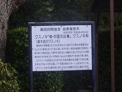 Kokawadera Temple-纪之川市必去景点