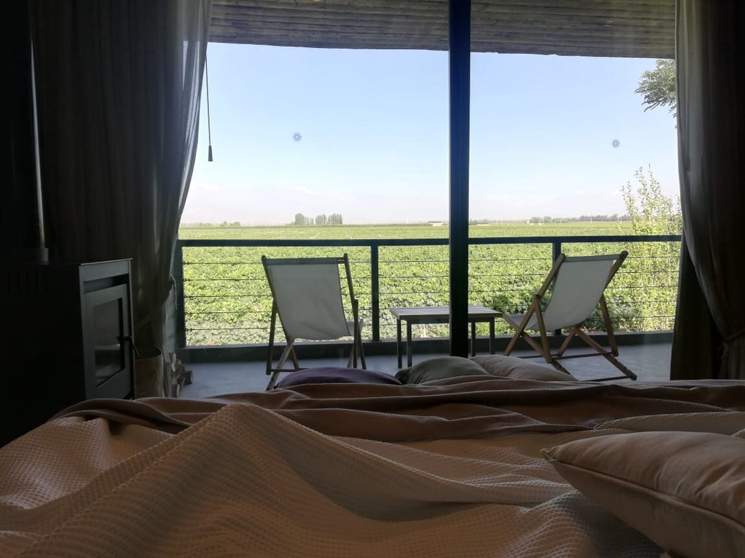 Casa De Huespedes Finca La Azul主图