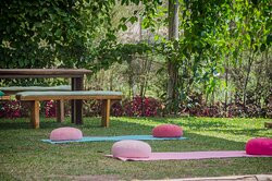 Go Organic Experience主图