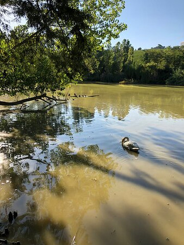 Oasi Naturalistica-Tortoreto必去景点