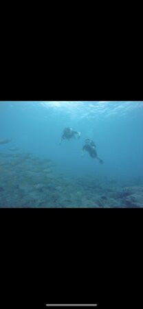 Dive Center Aquanautic Club Tenerife景点图片