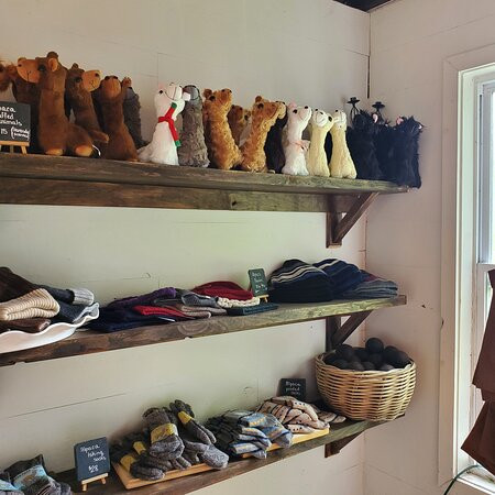 Northern Lavender-Mesick必去景点