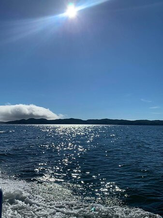 Andrew's West Coast Adventures-纳奈莫必去景点