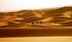 Morocco Desert Adventures景点图片