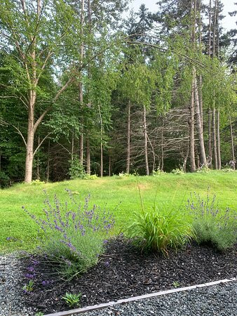 Glenora Inn & Distillery主图