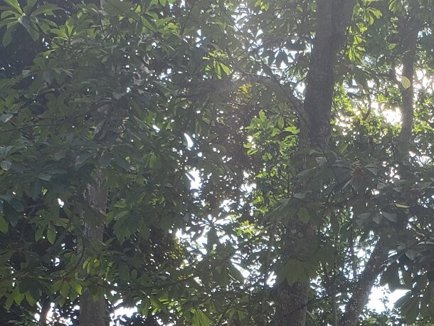 Verde Morada Hotel Encuentro主图