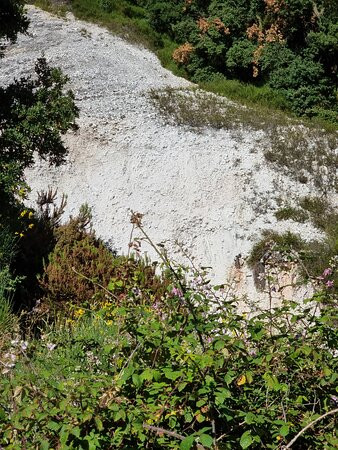 Parco Naturalistico Geotermico Delle Biancane景点图片