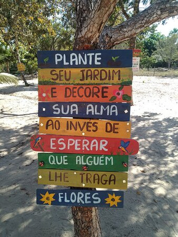 Jalabob Turismo-Palmas必去景点