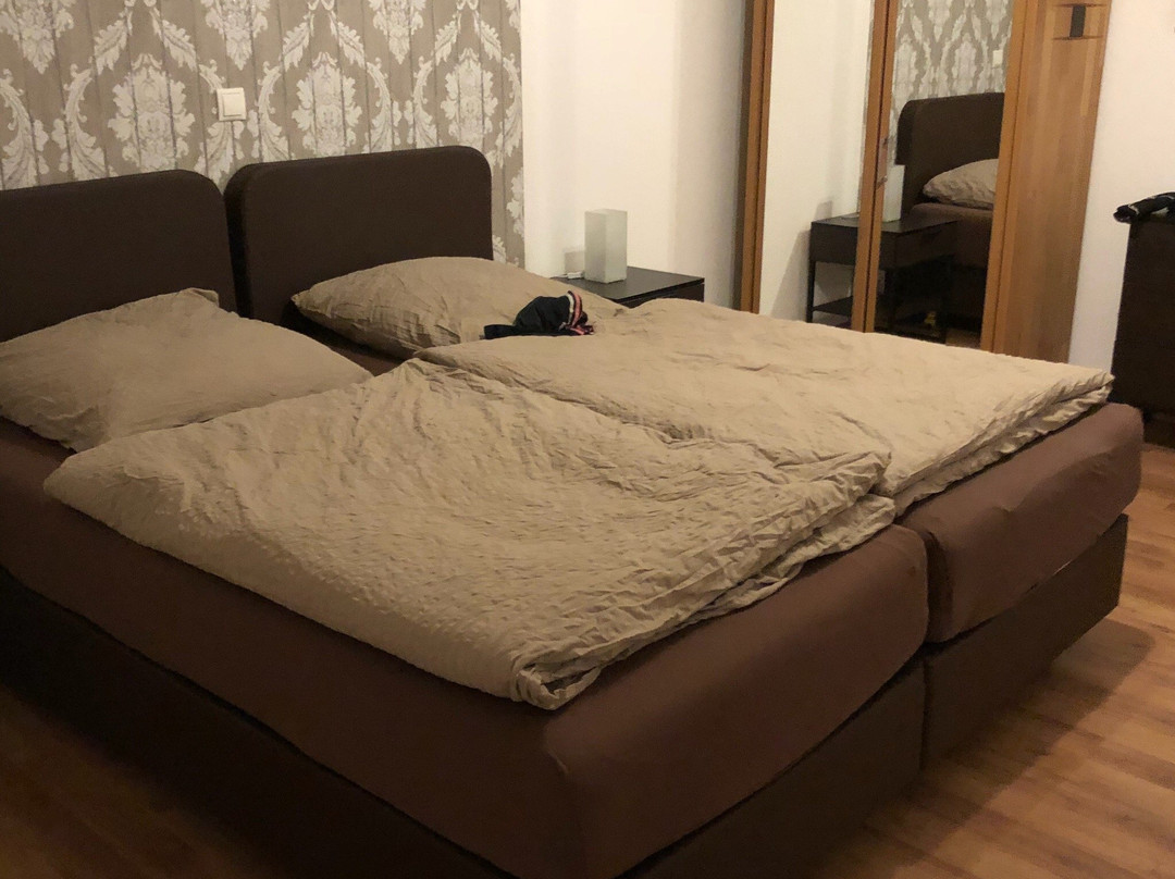 Bohmerwald Pur2主图