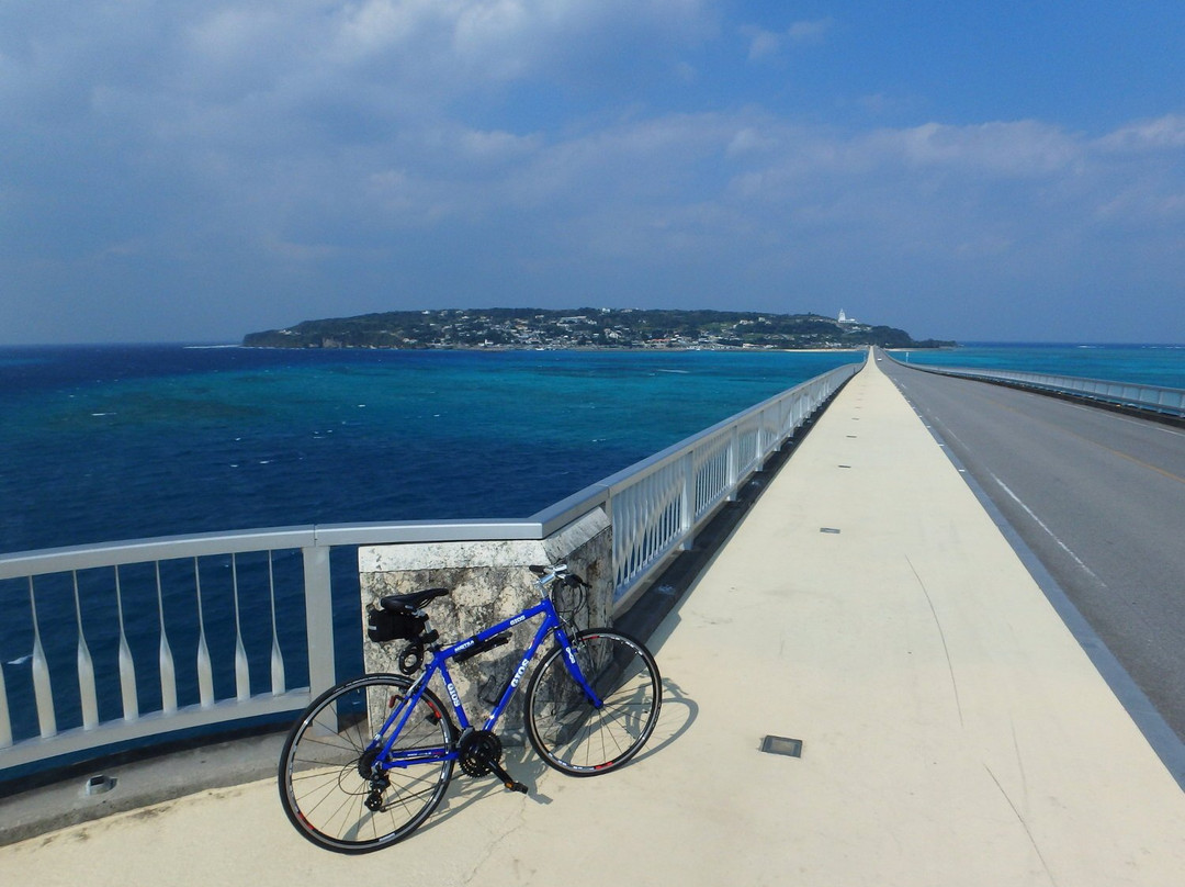 Noleggio Cicli-名护市必去景点