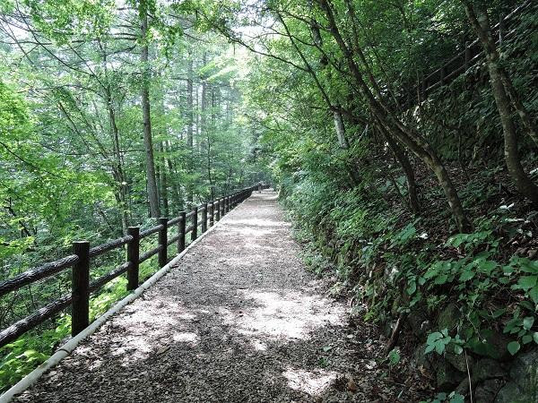 Forest of Tokyo Citizen-桧原村必去景点