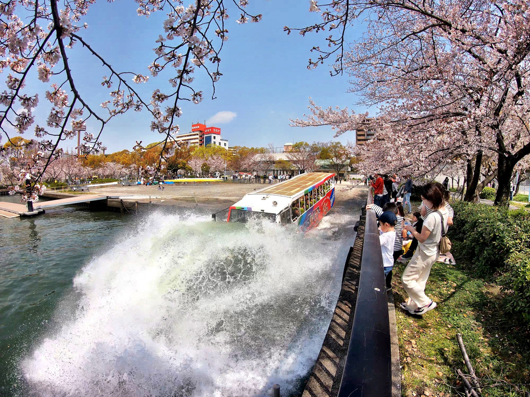 Osaka Duck Tours景点图片