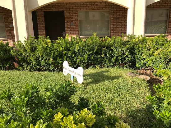 Gamma Ciudad Juárez主图