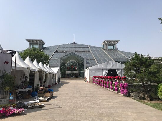 上海植物园景点图片