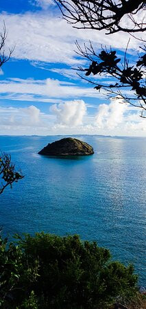 Bluff Point Walking Track景点图片