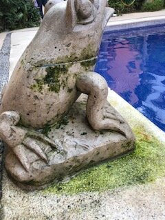 Hotel Casa Lotería Sayulita (el Pueblito)主图