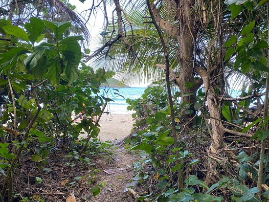 Santa Maria Beach-Havensight必去景点