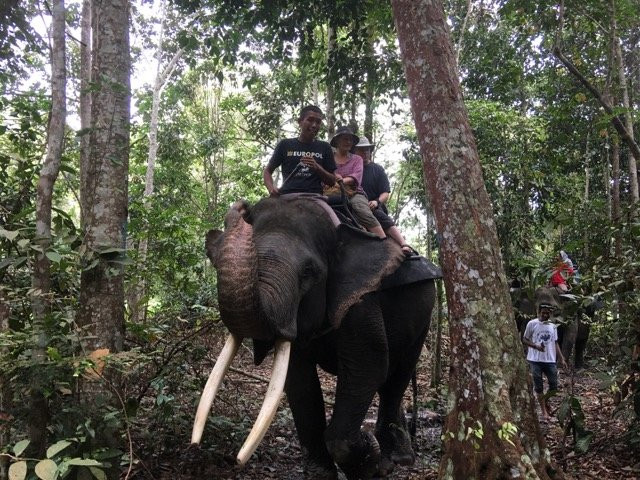 北干巴鲁旅游景点-Minas Elephant Training Centre